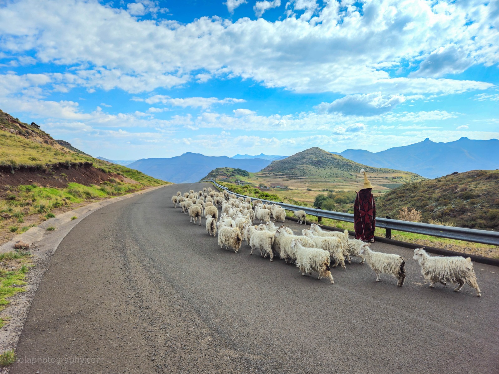 Basotho herder with goats on a mountain road in Lesotho