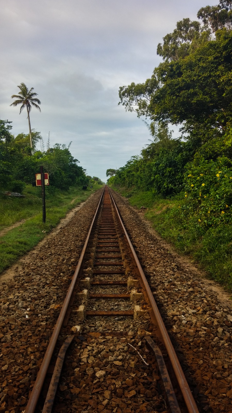 Railway line near Ambila Lemaitso in Madagascar