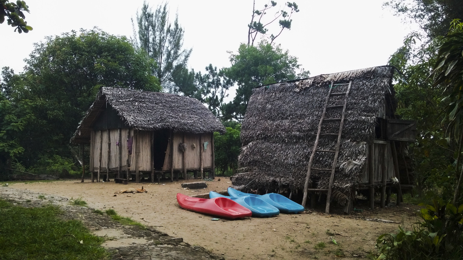 Traditional houses in Ambila Lemaitso, Madagascar