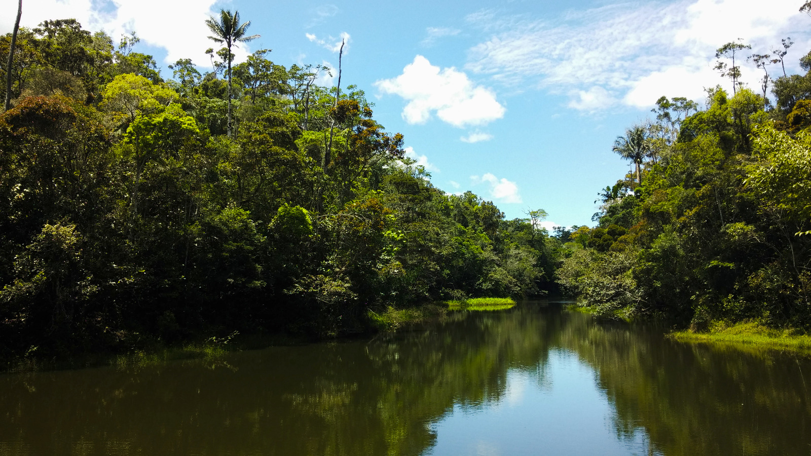 Rainforest lake in Andasibe, Madagascar