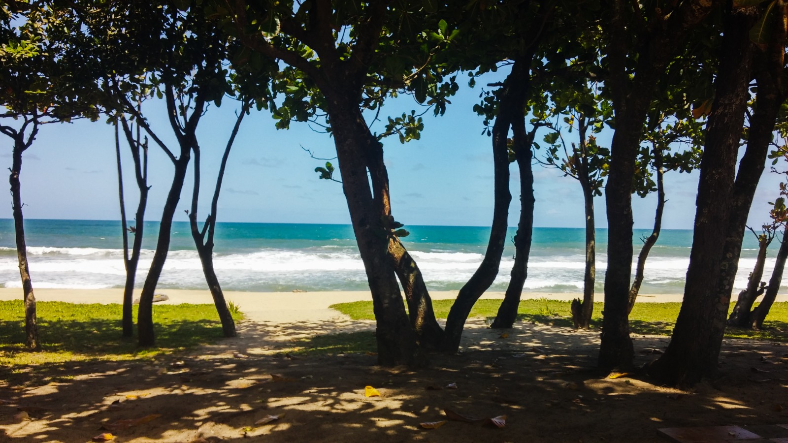 Beach and trees at Green Club Resort Ambila in Madagascar
