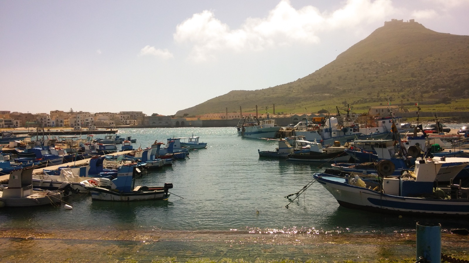 Fishing boats in the port of Favignana, Sicily