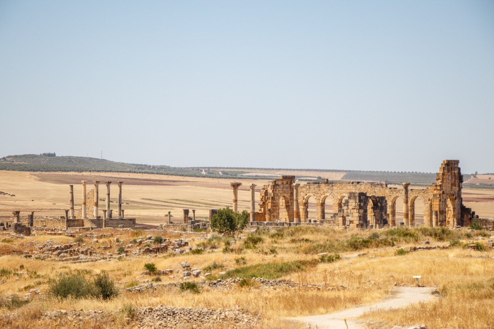 Roman ruins at Volubilis near Meknes, Morocco